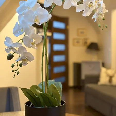 Glamour I Apartment *
